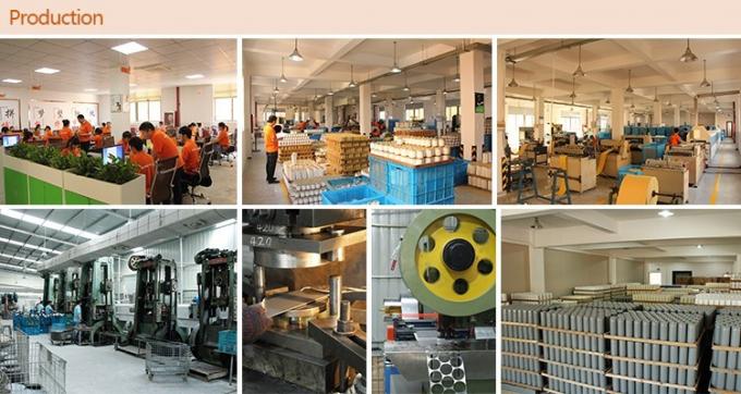 Топливо 1132401320 тележек фильтрует воздушный фильтр входа автомобиля полиэфирного волокна AF25372 1